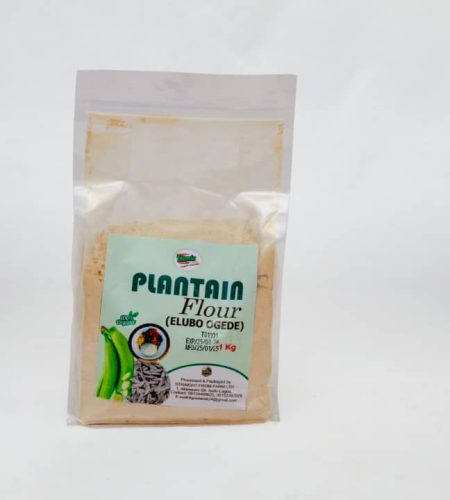 IMG-20250317-WA0040[1]